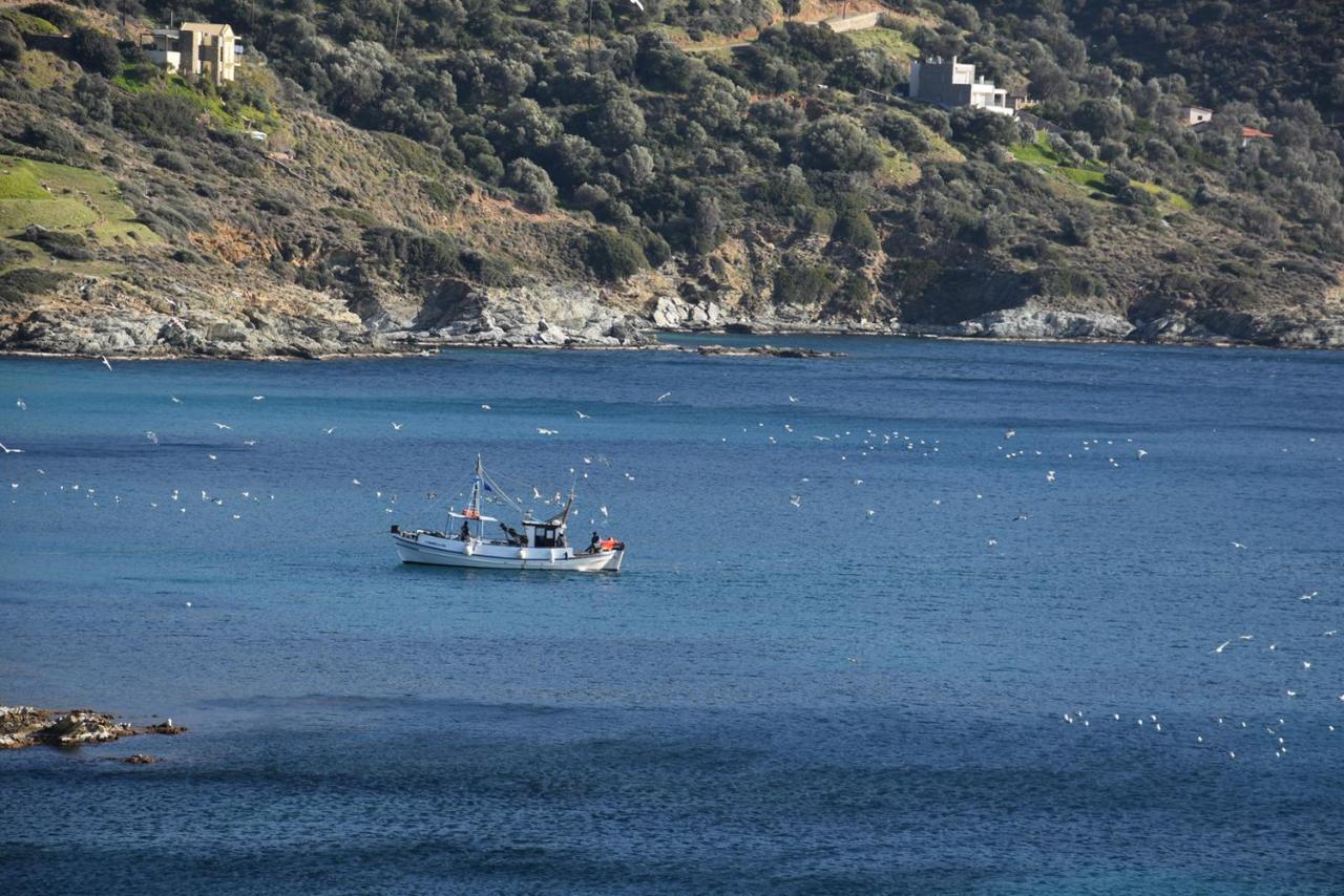 Likoremaview Marmari (Evia) Exterior foto
